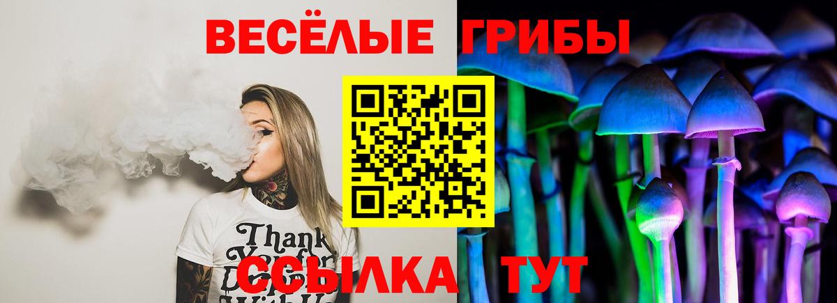 Ртищево  Галлюциногенные грибы GOLDEN TEACHER  Псилоцибиновые грибы ЛСД  Вход с VPN 