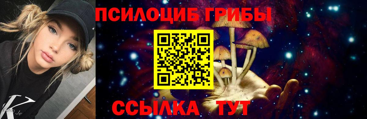Псилоцибиновые грибы Magic Shrooms Ртищево