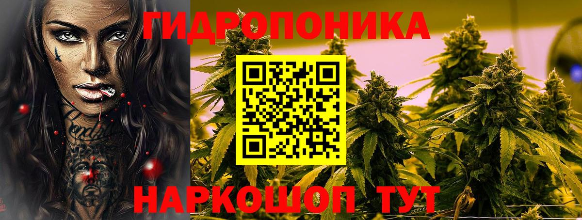 Конопля план  Конопля конопля  Вход с VPN  МАРИХУАНА LSD WEED  Ртищево  Марихуана THC 21% 